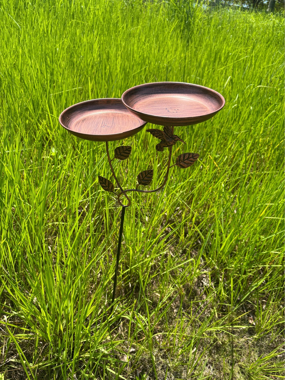 A Dual-purpose Iron Bird Bath And Feeder, Available In Various Sculpture Styles. Features 5Rust-resistant Claws For Secure Outdoor Placement. Ideal For Garden And CourtyardDecoration, Serving As A Bird Watering And Bathing Station. Easy To Clean